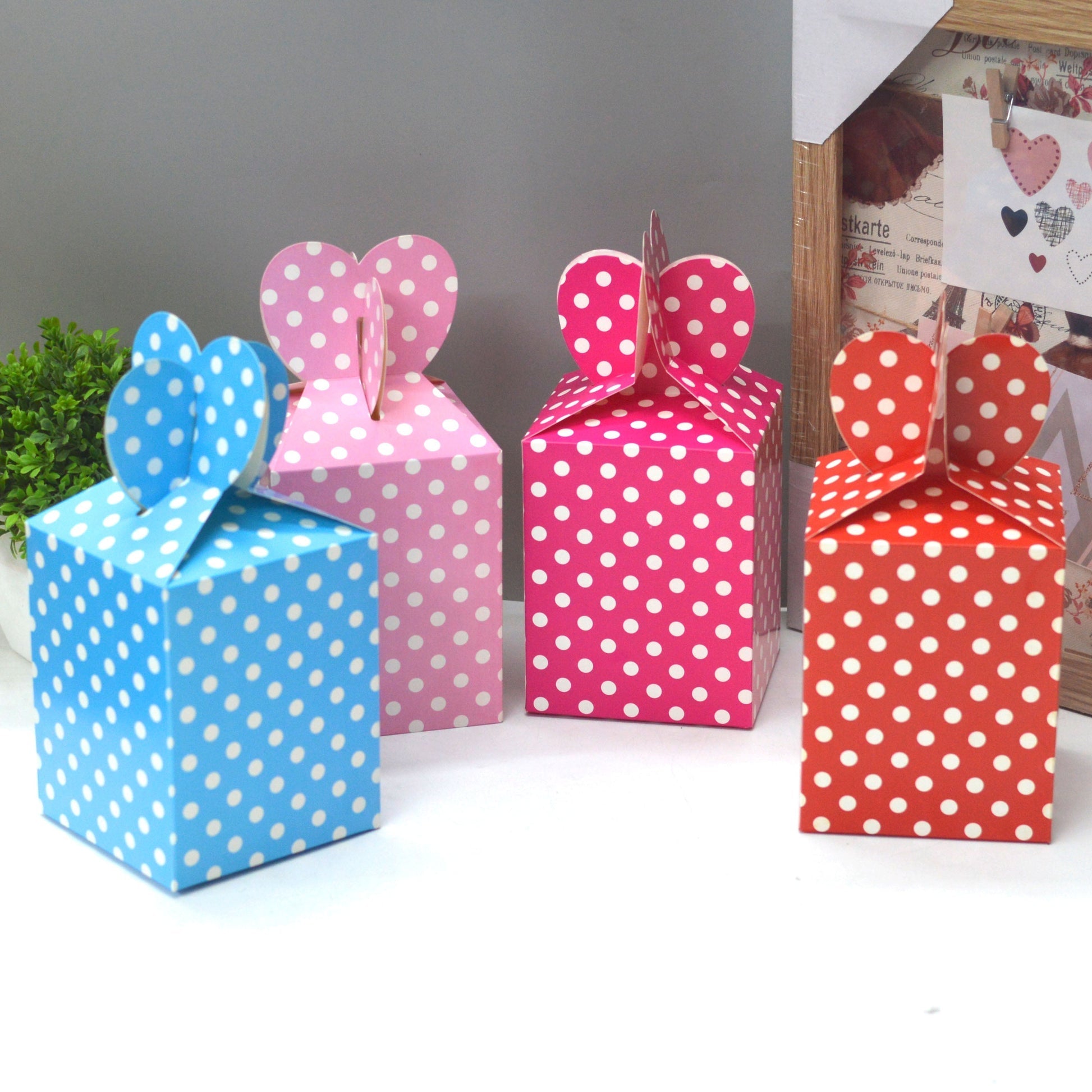 Party Boxes/Bags